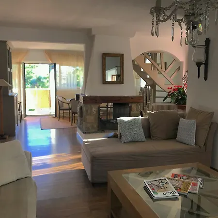 Duplex Vue *