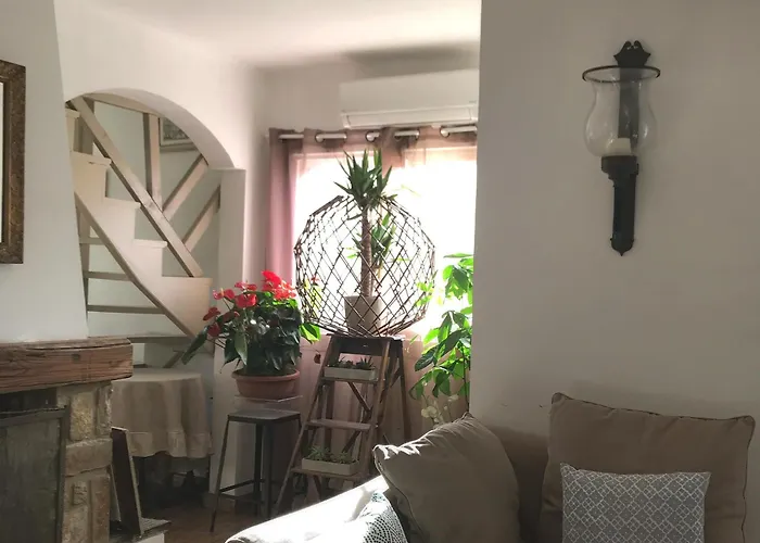 Duplex Vue